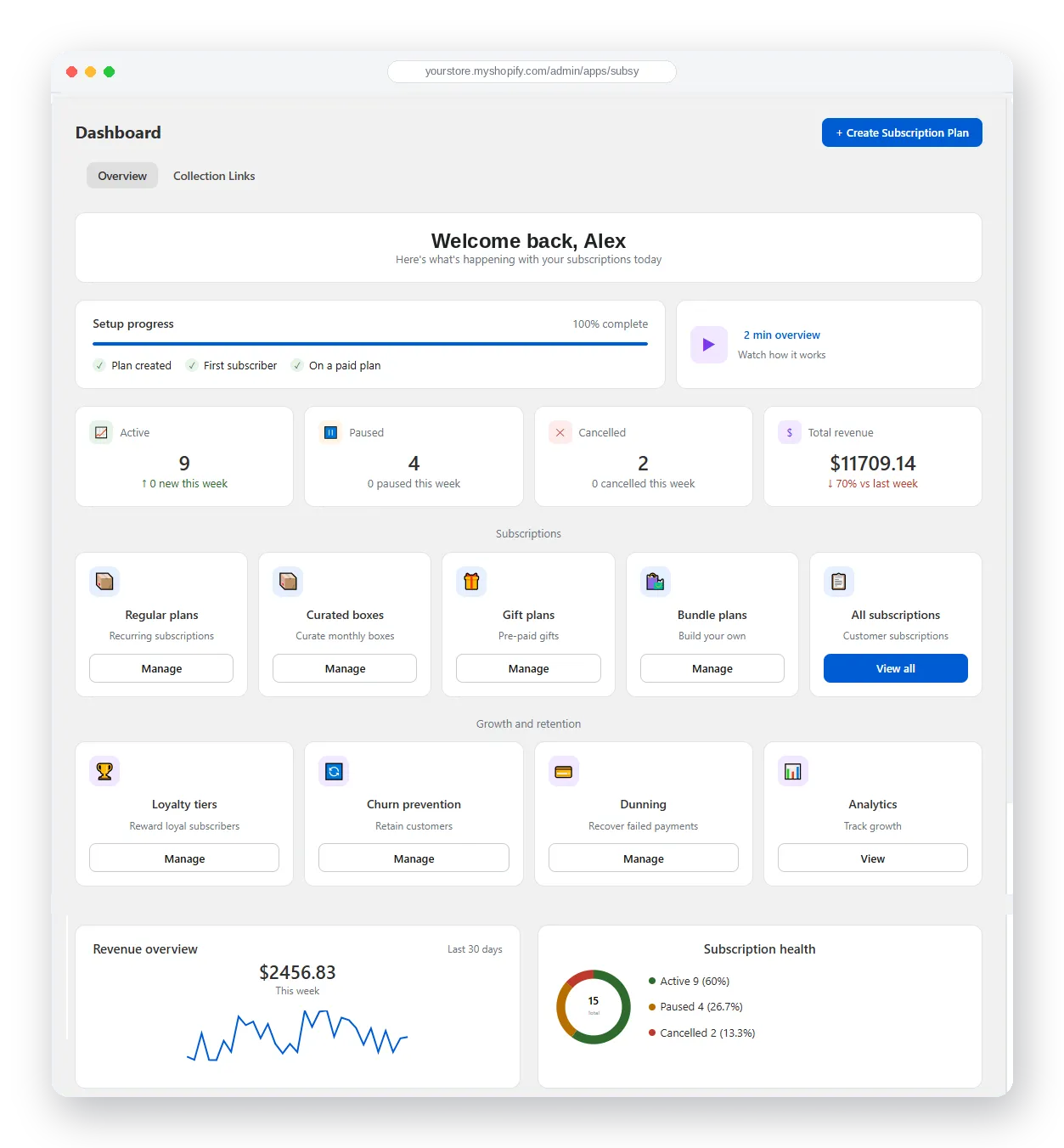 Subsy subscription dashboard — regular, gift, curated, and bundle subscriptions